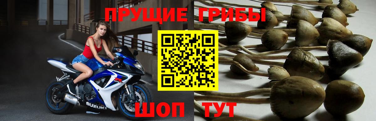 A-PVP Миасс