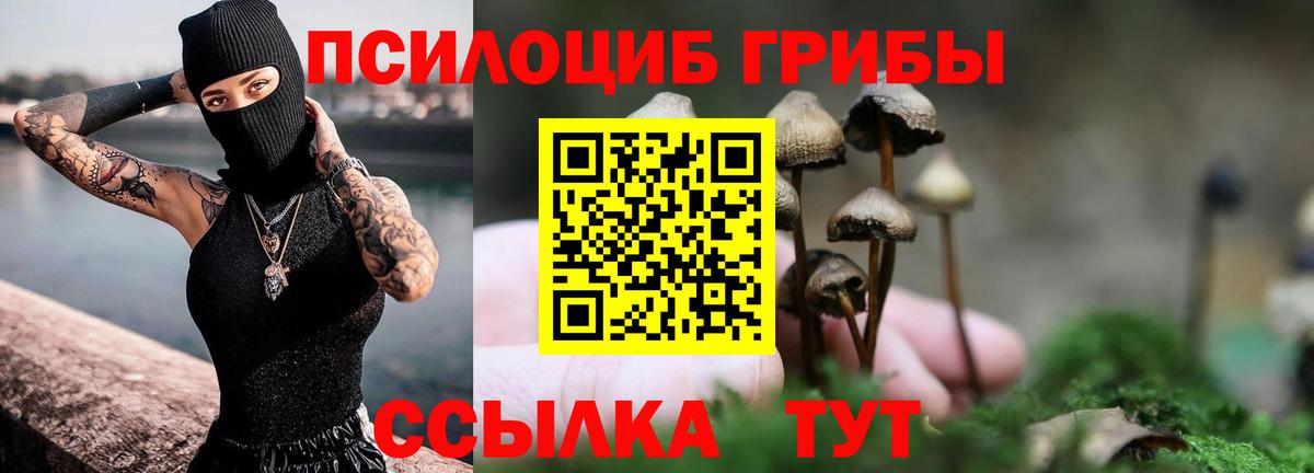 Миасс  купить наркоту  Вход с VPN  Псилоцибиновые грибы GOLDEN TEACHER 